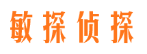 兴隆敏探私家侦探公司